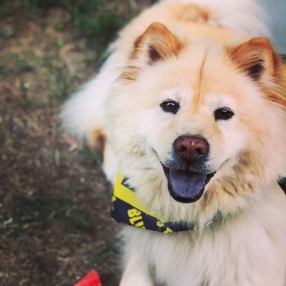 Meet your Posher, Kacie - Picture 1 of 1